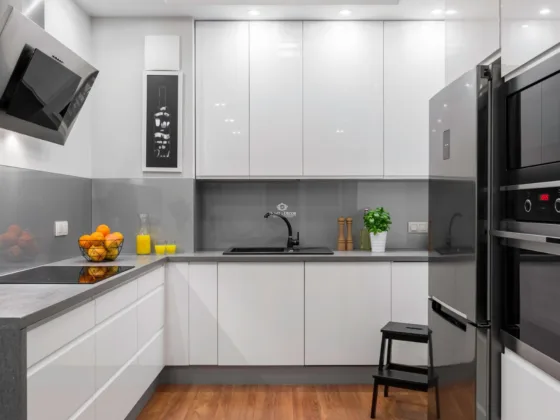 Elegent modular kitchen interior design