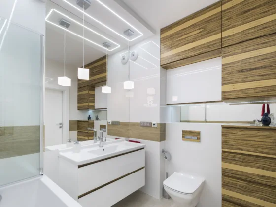 cool white elegent bathroom interior design